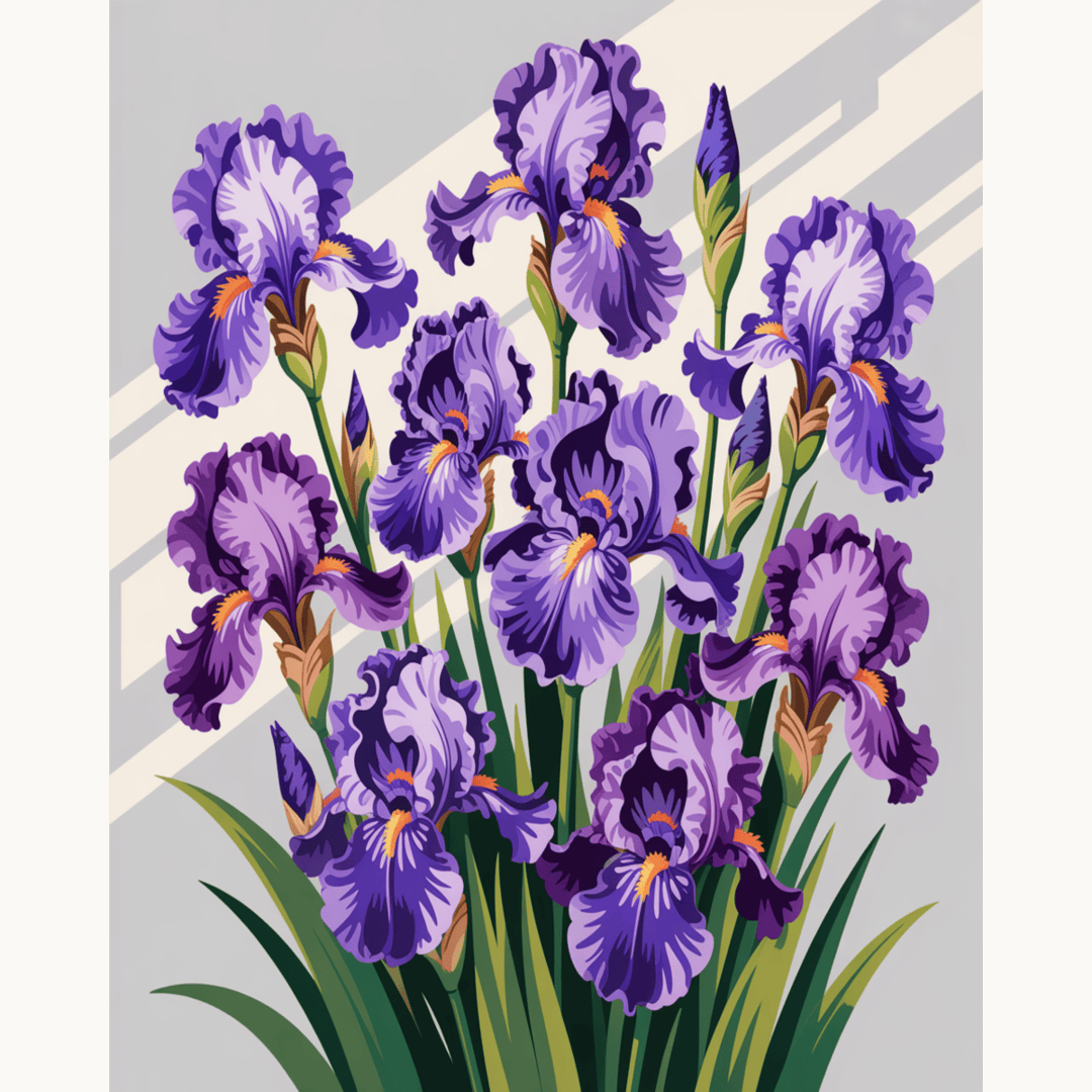 Iris Elegance