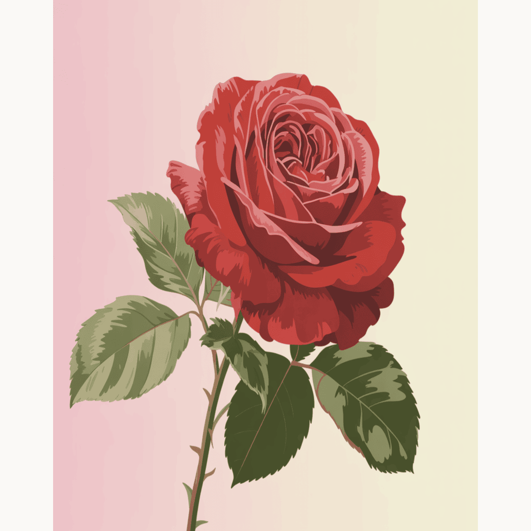 Classic Red Rose