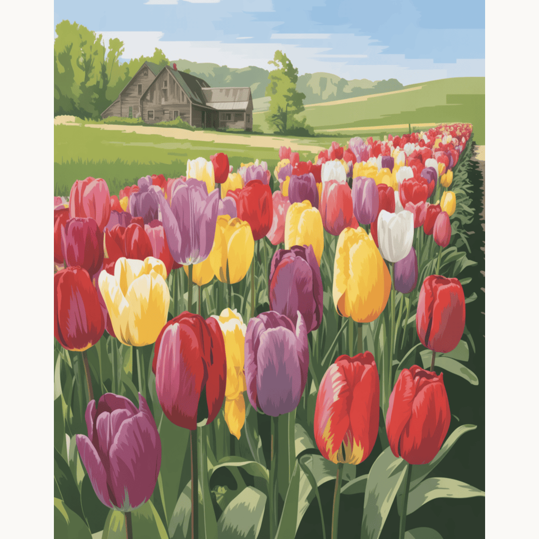 Tulip Trail