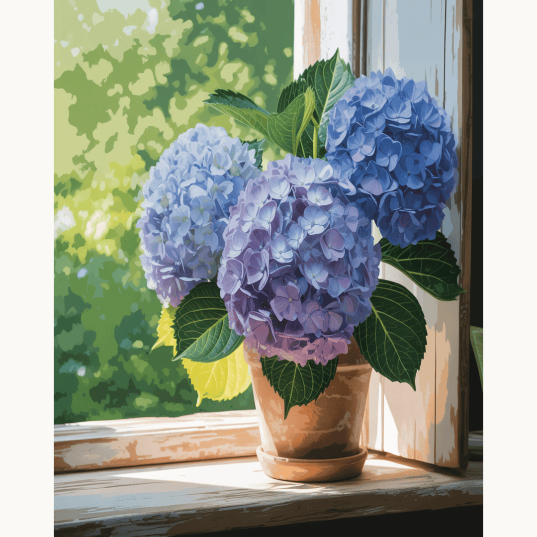 Window Blossoms