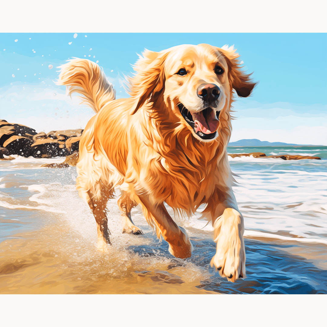 Golden Beach Run