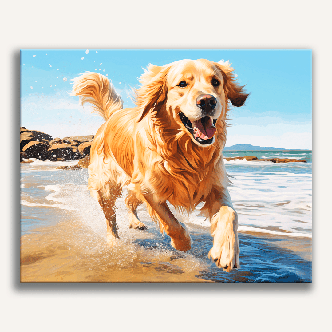 Golden Beach Run